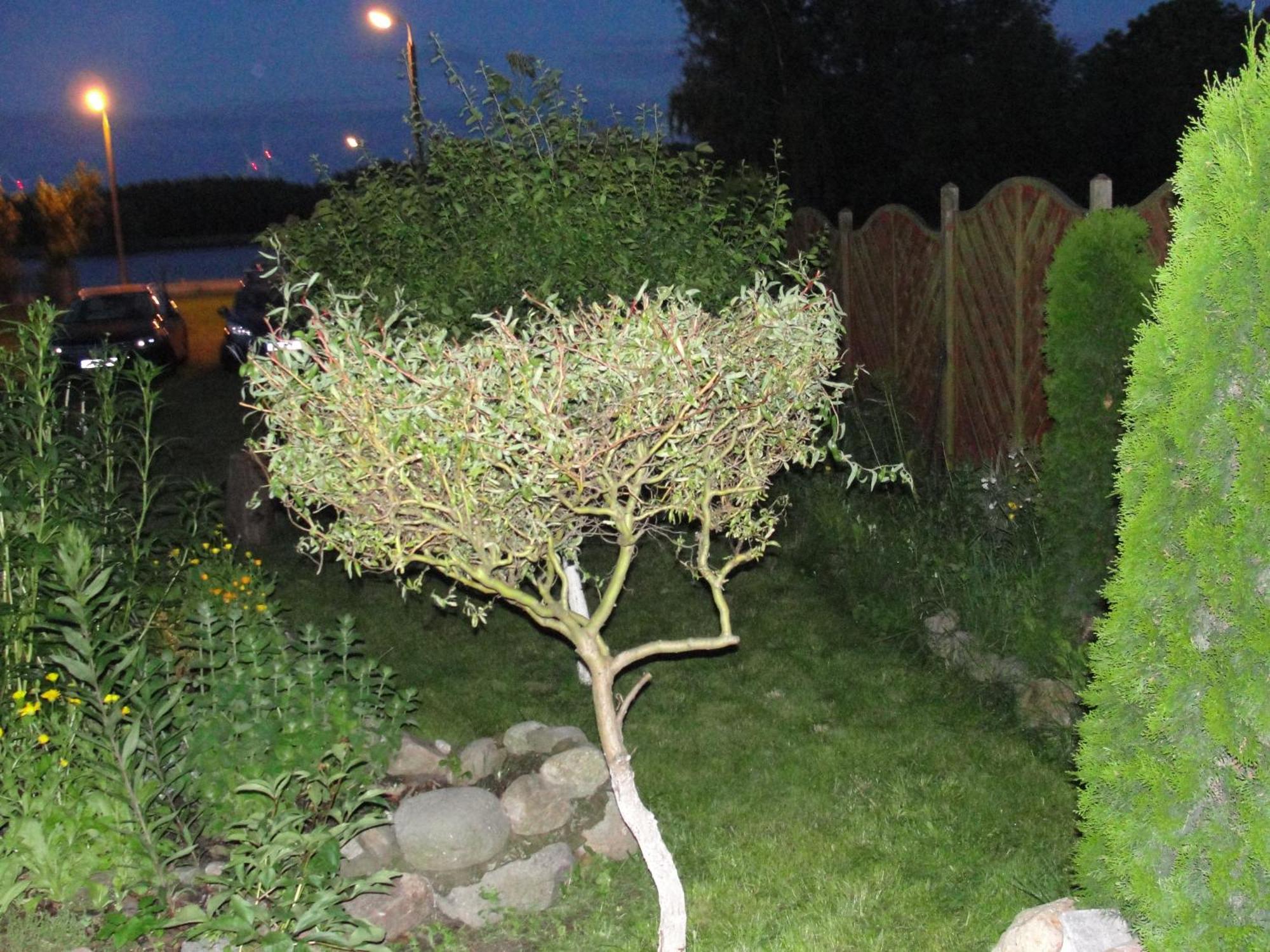 Apartament Wolin Nad Woda Kolo Miedzyzdrojow ภายนอก รูปภาพ